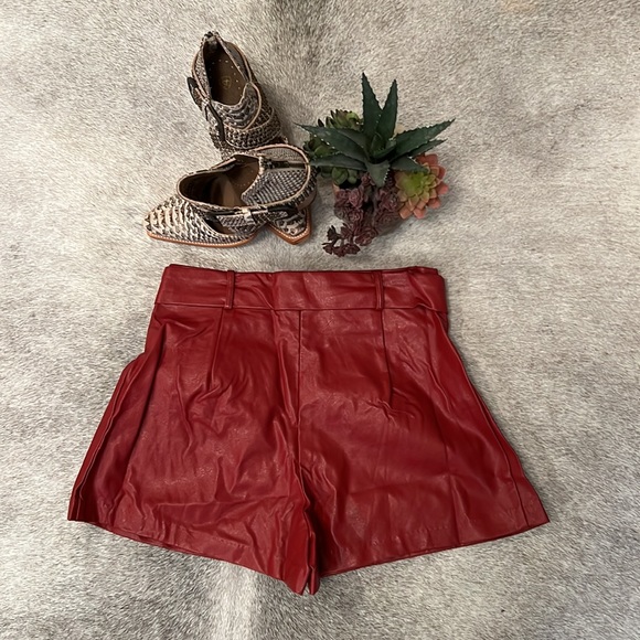 TCEC - Faux Leather Shorts - Picture 2 of 5
